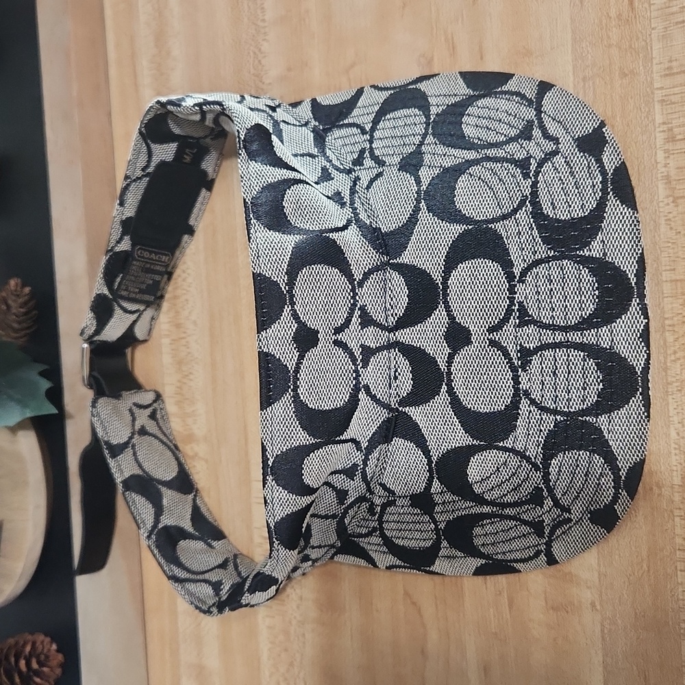 Coach Visor - image 7